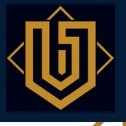 Pinnacle Asia Consultancy logo